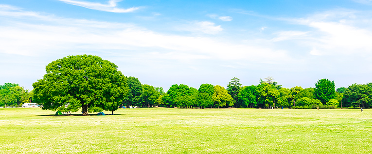 サステナビリティ